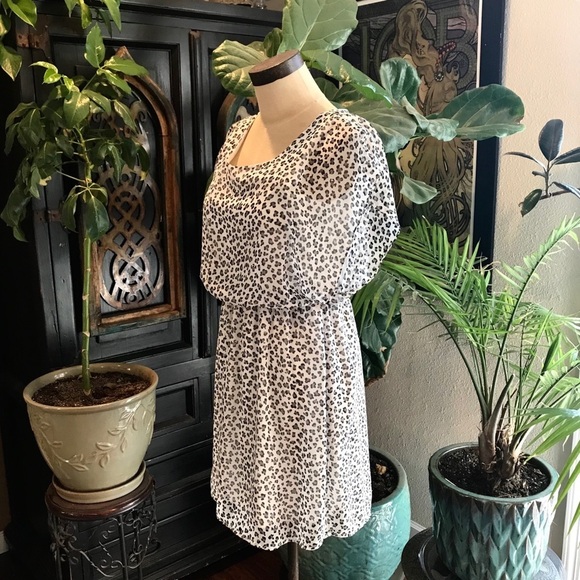 ASOS - Needle & Thread Francesca leopard chiffon - Picture 2 of 8